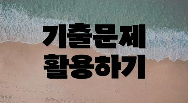 기출문제 활용하기