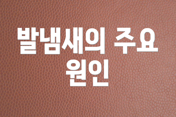 발냄새의 주요 원인
