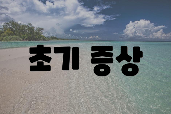 초기 증상