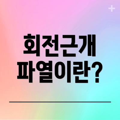 회전근개 파열이란?