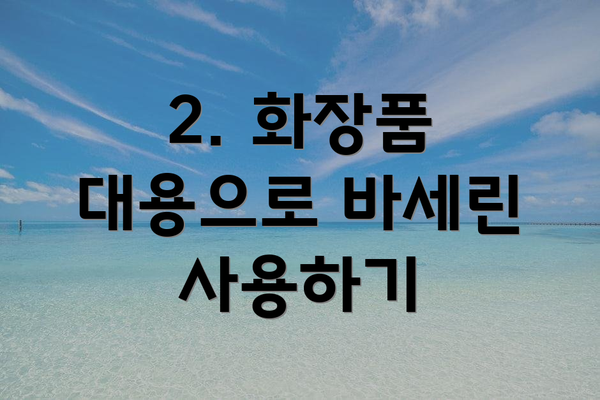 2. 화장품 대용으로 바세린 사용하기