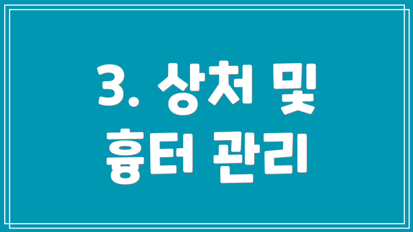 3. 상처 및 흉터 관리