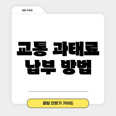 교통 과태료 납부 방법