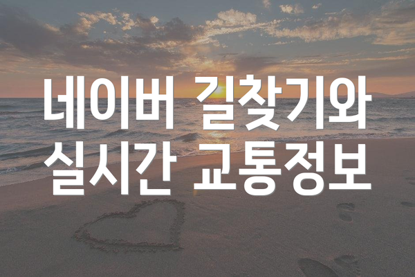 네이버 길찾기와 실시간 교통정보
