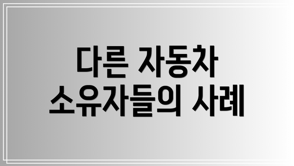 다른 자동차 소유자들의 사례