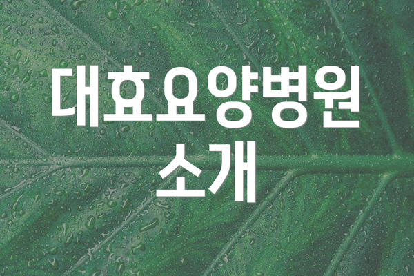 대효요양병원 소개