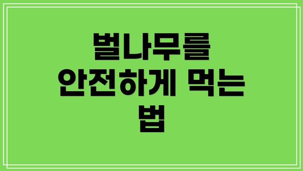 벌나무를 안전하게 먹는 법