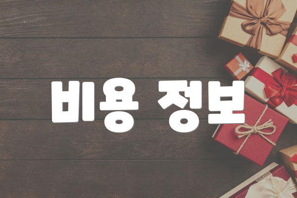 비용 정보