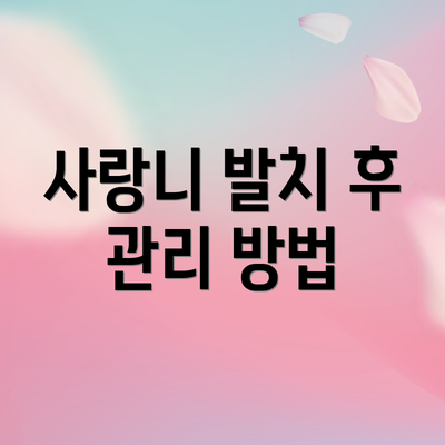 사랑니 발치 후 관리 방법