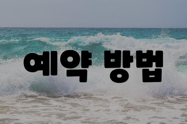 예약 방법