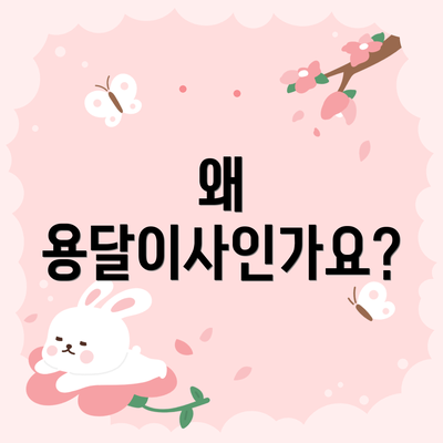 왜 용달이사인가요?