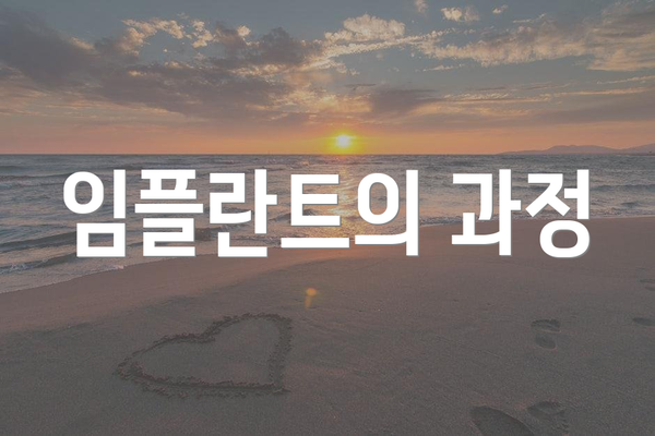 임플란트의 과정