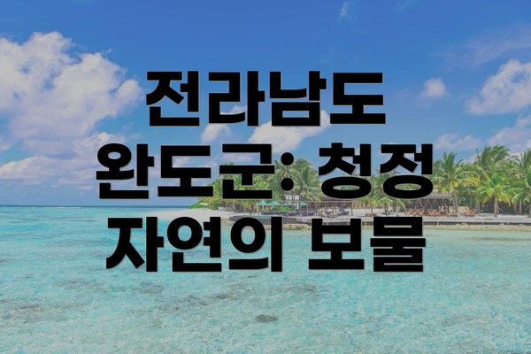 전라남도 완도군: 청정 자연의 보물