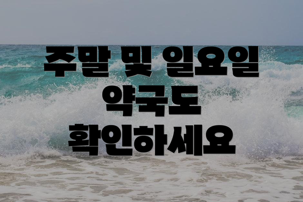 주말 및 일요일 약국도 확인하세요