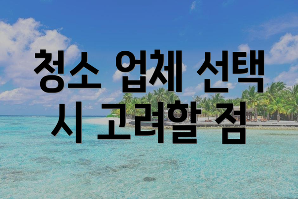 청소 업체 선택 시 고려할 점