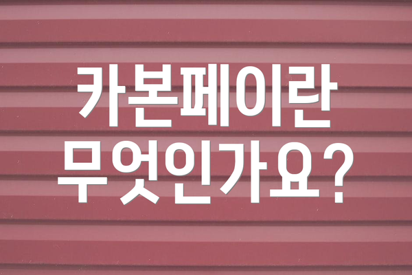 카본페이란 무엇인가요?