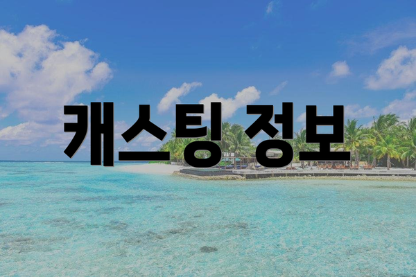 캐스팅 정보