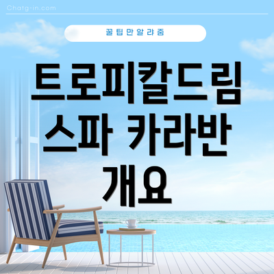 트로피칼드림 스파 카라반 개요