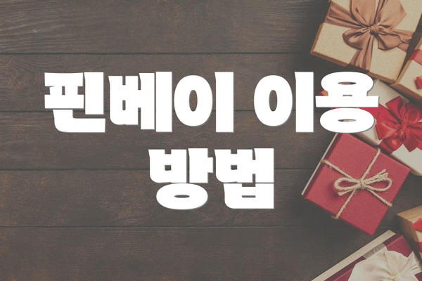 핀베이 이용 방법