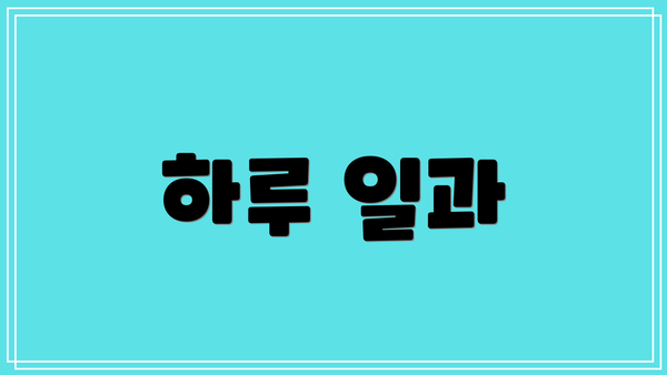 하루 일과