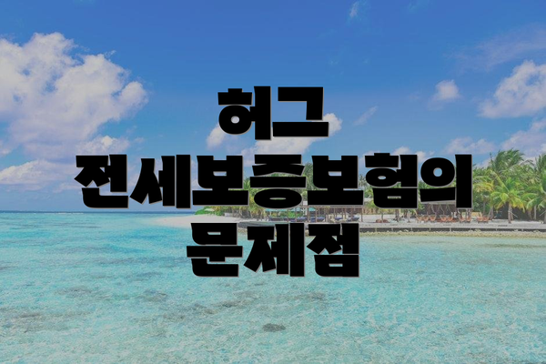 허그 전세보증보험의 문제점