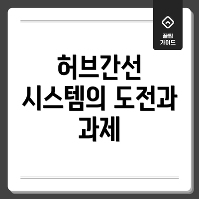 허브간선 시스템의 도전과 과제