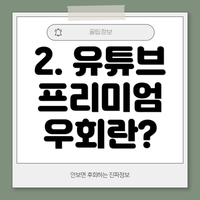 2. 유튜브 프리미엄 우회란?