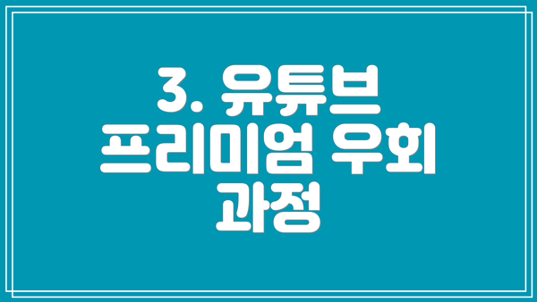 3. 유튜브 프리미엄 우회 과정