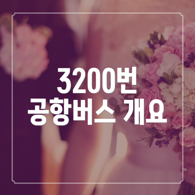 3200번 공항버스 개요