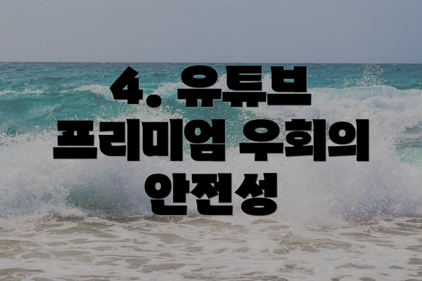 4. 유튜브 프리미엄 우회의 안전성