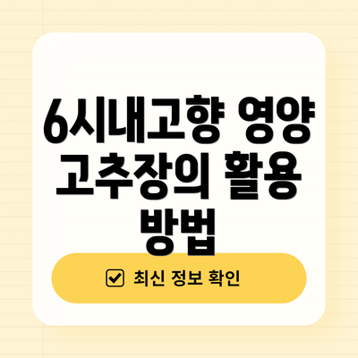 6시내고향 영양 고추장의 활용 방법
